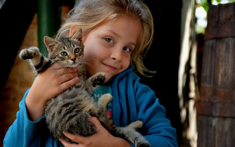 Дівчинка тримає кошеня