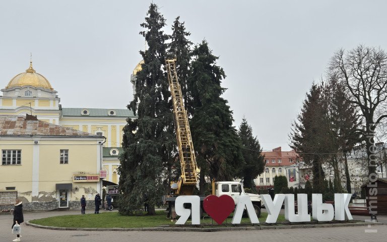 ялинки в центрі