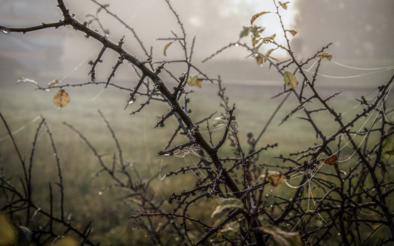 погода туман Волинь