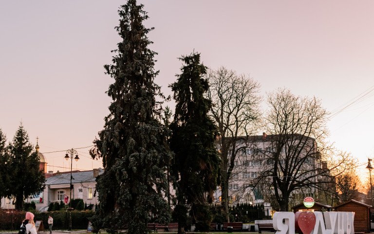 ялинки в центрі міста