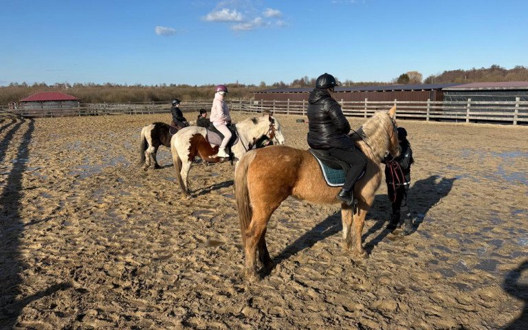 люди на конях