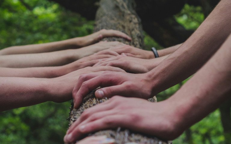 Руки людей Руки людей, які спираються на повалене дерево.