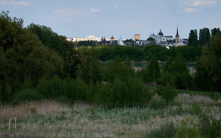 На передньому плані луг, чагарники, а на задньому міські будинки