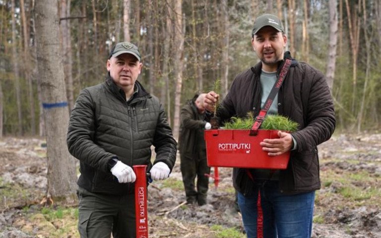 люди висаджують ліс