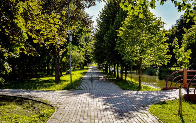 парк зелені насадження