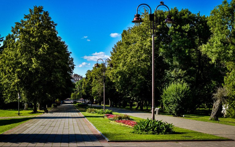 центральна алея у парку Луцька
