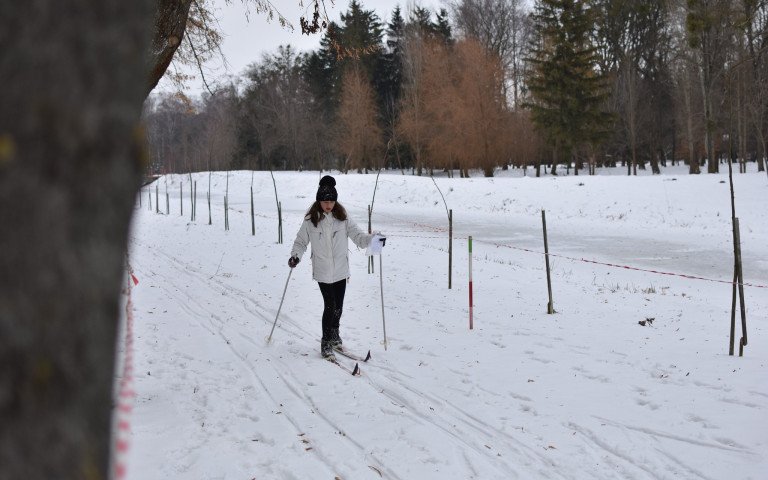 дівчина на лижах