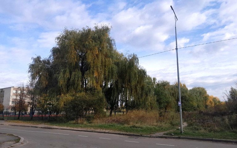 вулиця школа дерева пустир