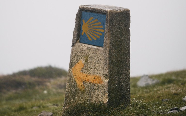 камінь з намальованою мушлею