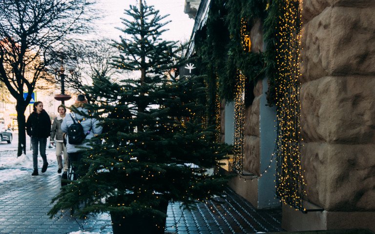 ялинка вулиця центр