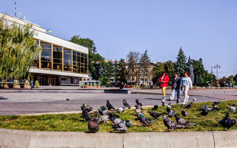люди центр голуби