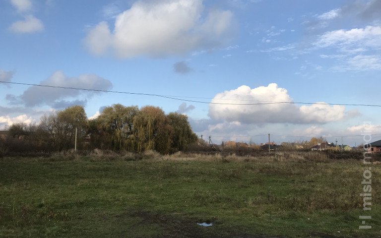 заросла ділянка