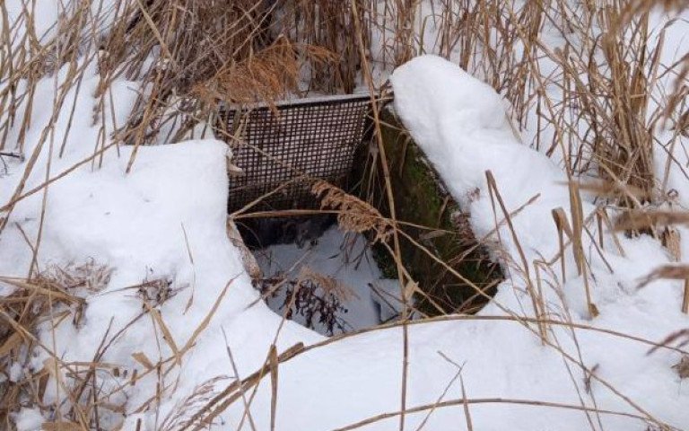гідроспоруди ставки село