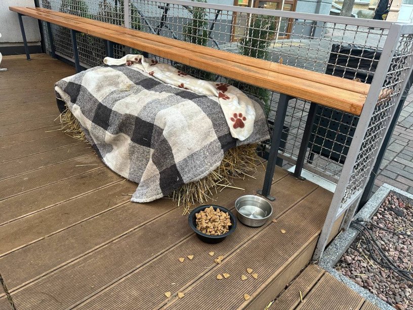 Такий вигляд має осіння інсталяція закладу. Фото: misto.media.