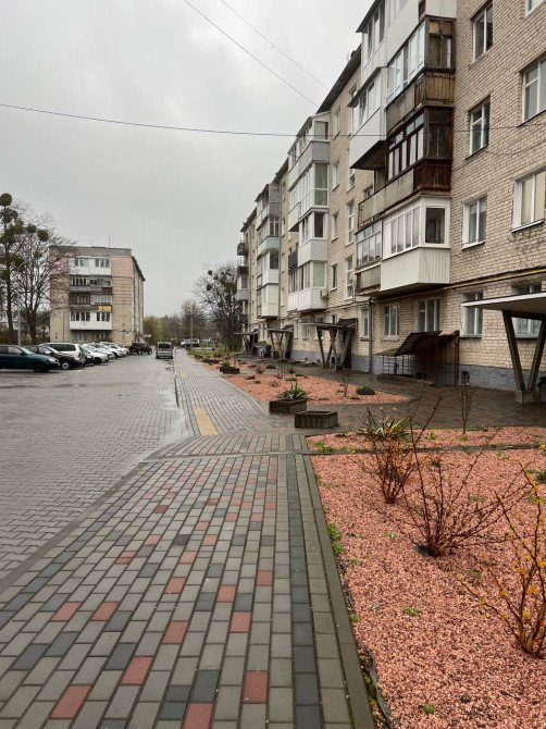 вул. Князя Романа, 7.