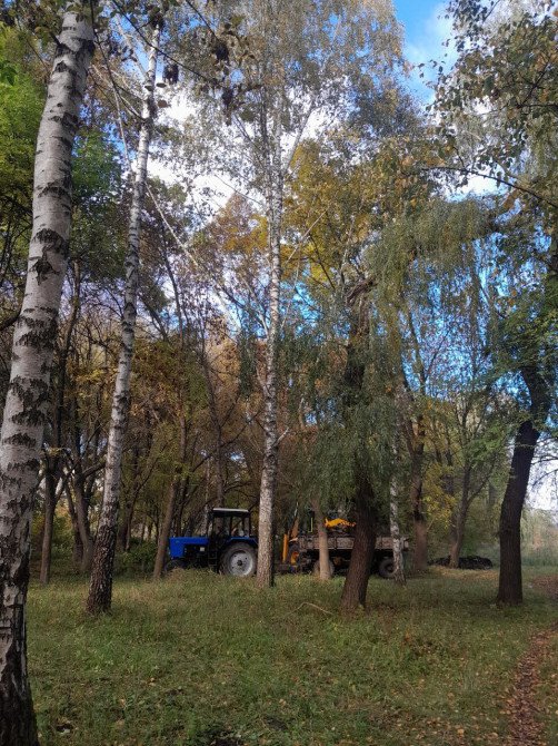 Техніка очищує територію (жовтень 2025 року). Фото: misto.media